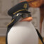 Skipper