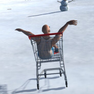 T1GER