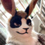 Roxby-JackRabbit