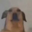 betito123