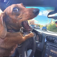 вонючий стояк