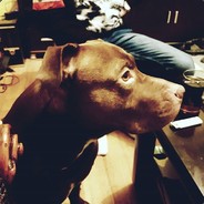 JasnieWielmożnyZjeb