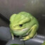 Какашка