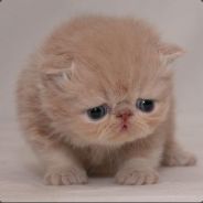 扶我起来，我还能送