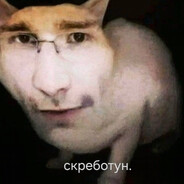 адам скутер