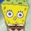 spunchbob
