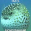 ГАЗИРOВАННЫ КАРП