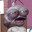 lead consumer #67's Avatar