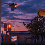 一树梨花压海棠