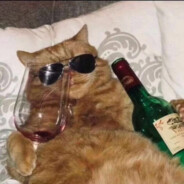 为什么要黑我家giegie