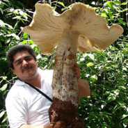 Humongous Fungus