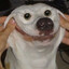 tuubA