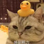 山东小红