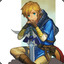 Shadow Link