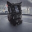 Ｓ​ΛＳDisrupted