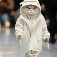 bilibili-殷秋紫羽