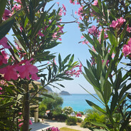 - Buburuza. #TVIMN#dMi#FT