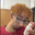 ThiagoDH