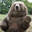 jigglybear0