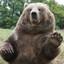 jigglybear0