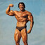 arnold schwarzenegger