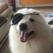 肉夹馍全球代言人