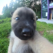 无敌的我又迷路了