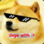 JustDogeWithIT