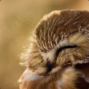 Азазаза - steam id 76561197960558718