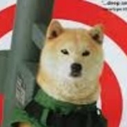 rocketdoge1