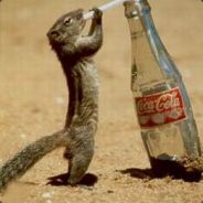 -=Team-Erich=-Vagina - steam id 76561197960420530