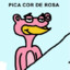 PICA COR DE ROZA