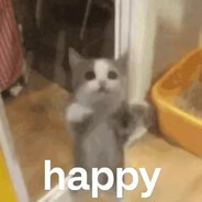 happy cat