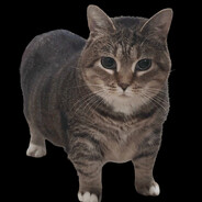 PareEye's avatar