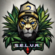S.E.L.V.A. | CL4UD10 - steam id 76561197967602984