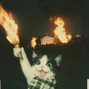 Meow on B, watch out!