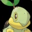 TURTWIG