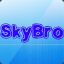 *SkyBro*