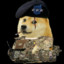 Colonel Doge