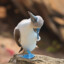 The Blue Footed Booby