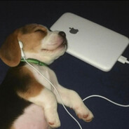 𝕾𝖆𝕴𝖓𝖙𝕯