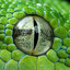 SnakeonaStaff