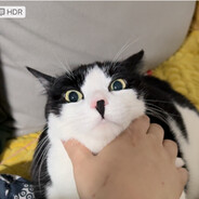 玩家头像