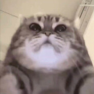 去码头整点薯条