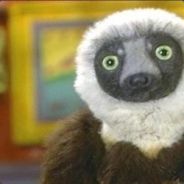 Zabu Mafu Zabu Mafu