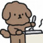 养晗晗和猫