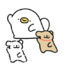 chaoq