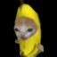 bananacat