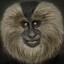 Monkekw