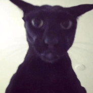 Larry avatar